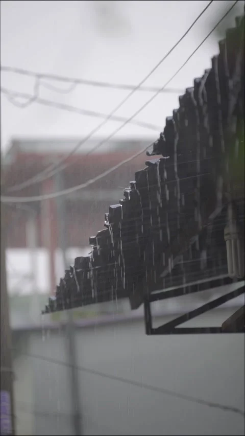 Vertical footage of Raindrop on rooftop 4k Stock Footage 242352487
