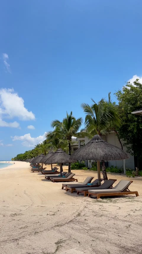 Vertical footage of Relaxing Beach Setup with Loungers and Parasols Stock Footage 308235269