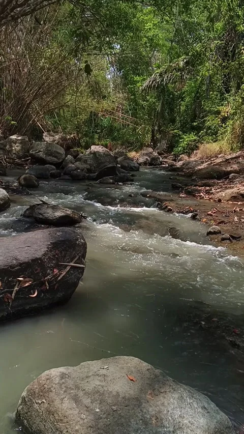 Vertical footage of a river stream flowing over rocks through lush forest Stock Footage 347422737