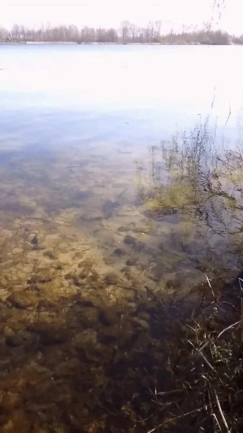 Vertical Footage of Shallow Stream Rippling over Mossy Stones Stock Footage 296197824
