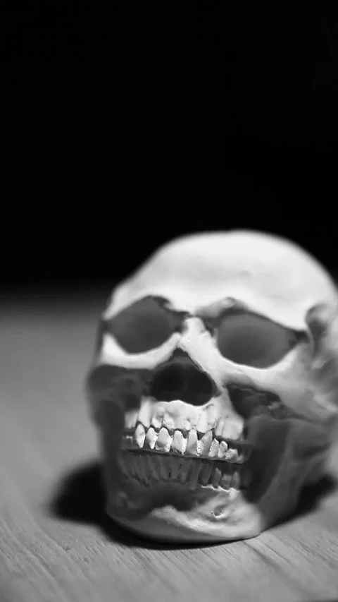 Vertical footage of skull dark background Stock Footage 304735656