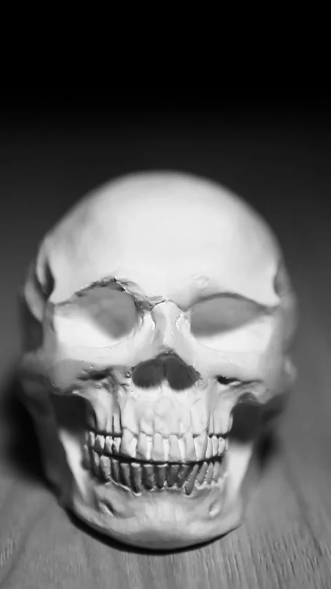 Vertical footage of skull dark background Stock Footage 304736345