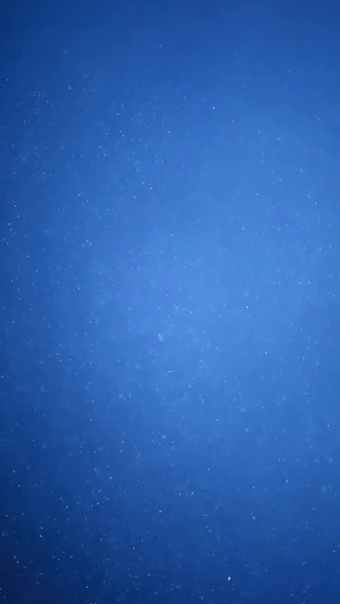 Vertical footage of snow blue background Stock Footage 302556434