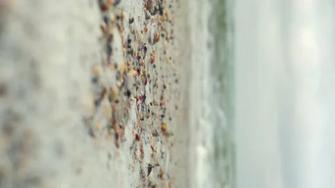 Vertical footage of the surf. Seashell beach, small seashells close-up Stock Footage 168233249