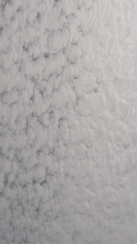 Vertical Footage of a Thick Layer of Clouds Video stock 208788700