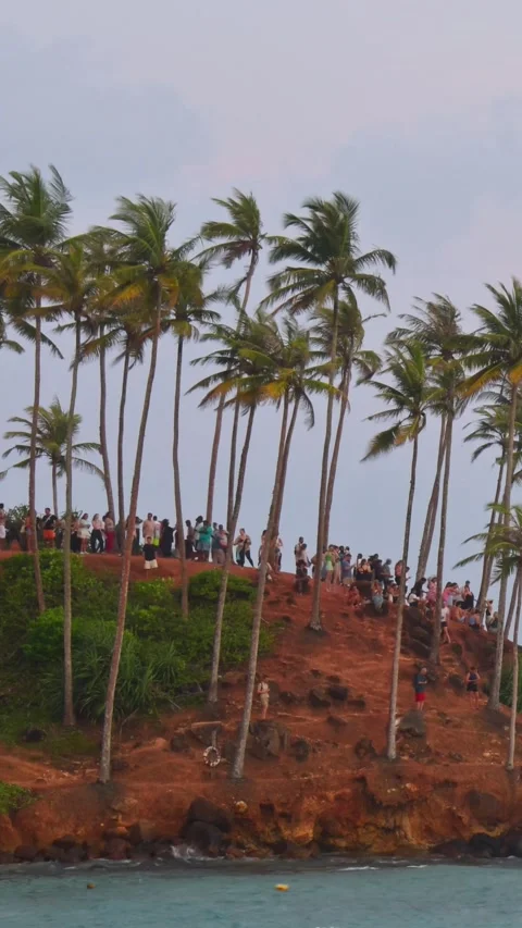 Vertical footage view groups of people visit Coconut Tree Hill viewpoint Ov.. Stock Footage 309807180