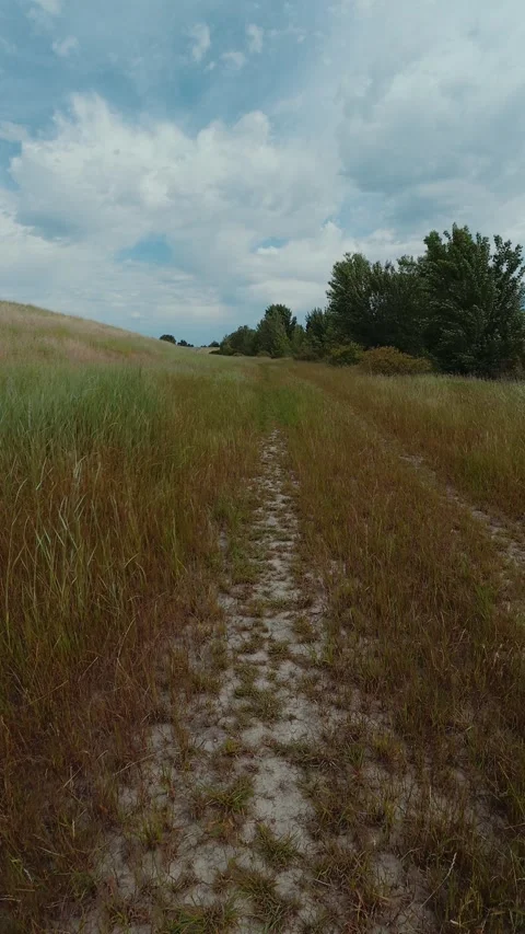 Vertical Footage of Walking a Grassy Path Toward Trees Video stock 334008555