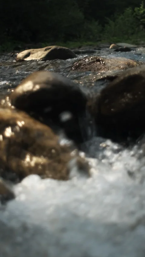 Vertical footage of water flows over stones overgrown with moss in summer forest Stock Footage 284334346
