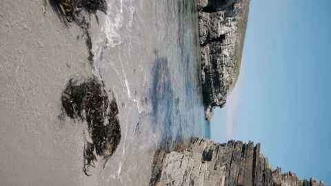 Vertical footage of waves braking on a beach shore with seaweed and rocks. Video stock 219306238