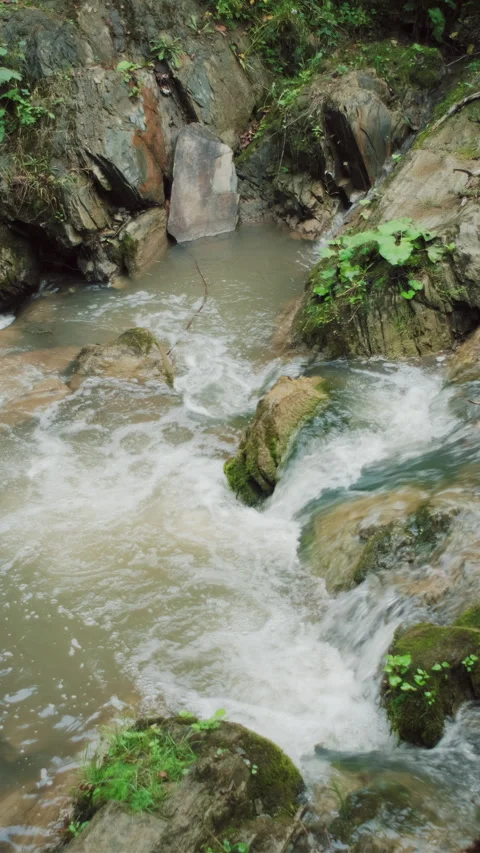 Vertical footage of wild mountain river flowing through stone boulders Stock Footage 285408533