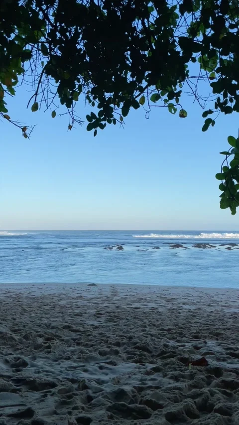 Vertical Footprints on White Sand Beach Framed by Trees in Bali Stock Footage 337336595