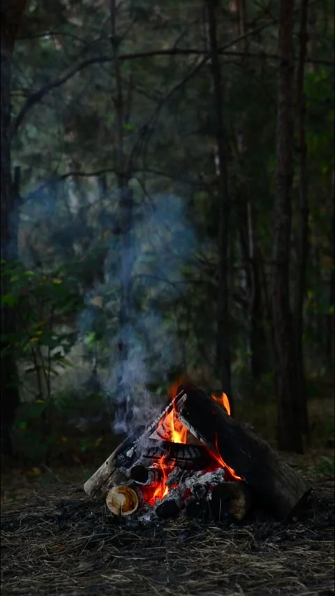 Vertical forest campfire burning with ambient smoke and flickering flames Vídeos de archivo 345121665