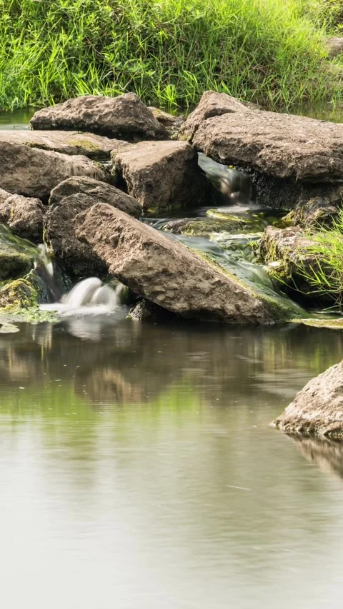 Vertical Forest Creek Stream Timelapse with Flowing Water and Morning Sunlight Stock Footage 327600458