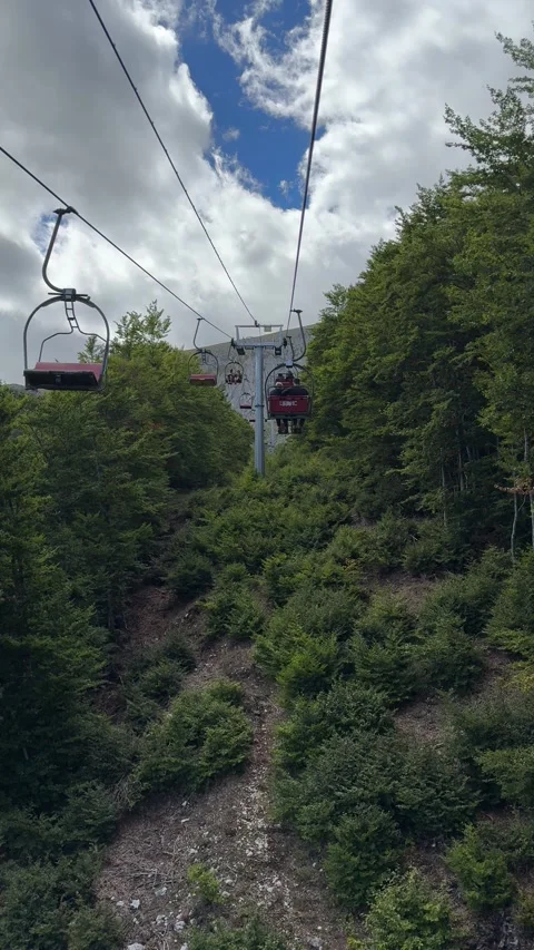 Vertical forest descent seen through cable car ride in Montenegro Stock Footage 319442148