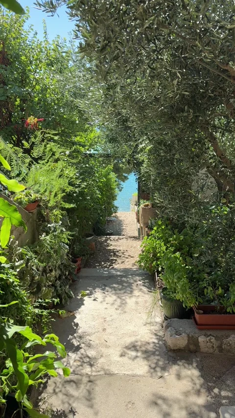 Vertical forest path leading to hidden beach in Croatian nature Stock Footage 319407294