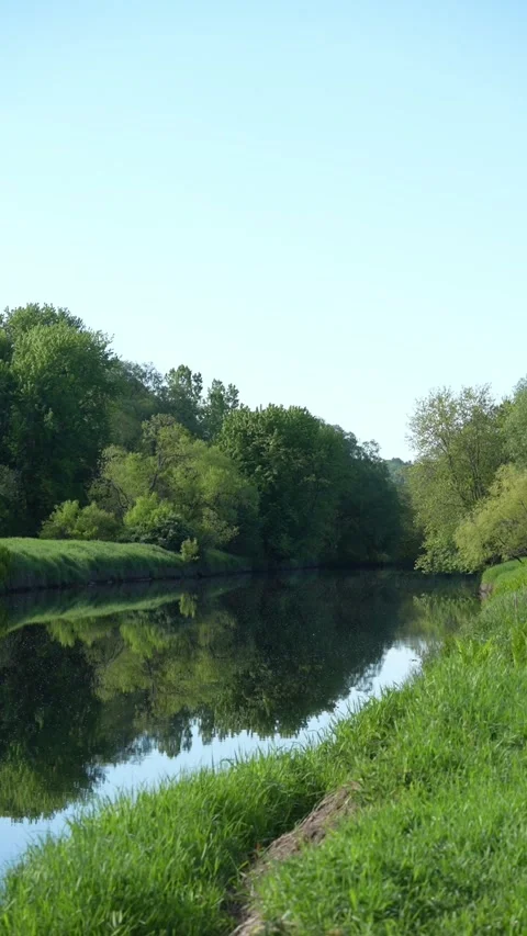 Vertical Forest River Under Clear Blue Sky Stock Footage 340350331