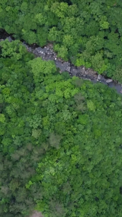 Vertical Forest Waterfall Aerial View Drone Motion Nature Scenery Stock Footage 327677492