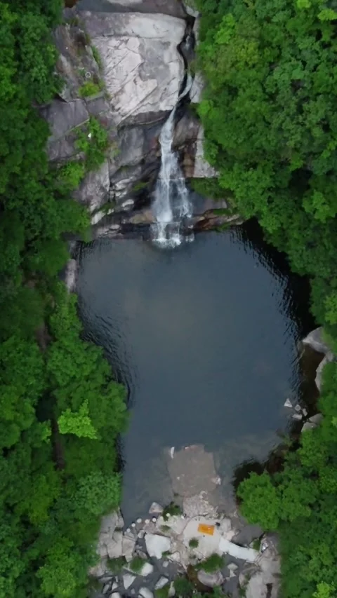 Vertical Forest Waterfall Aerial View Drone Motion Nature Scenery Stock Footage 327677499