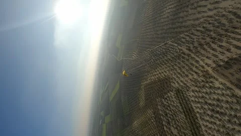 Vertical format: Aerial circles paraglider flying over olive groves Stock Footage 262306072