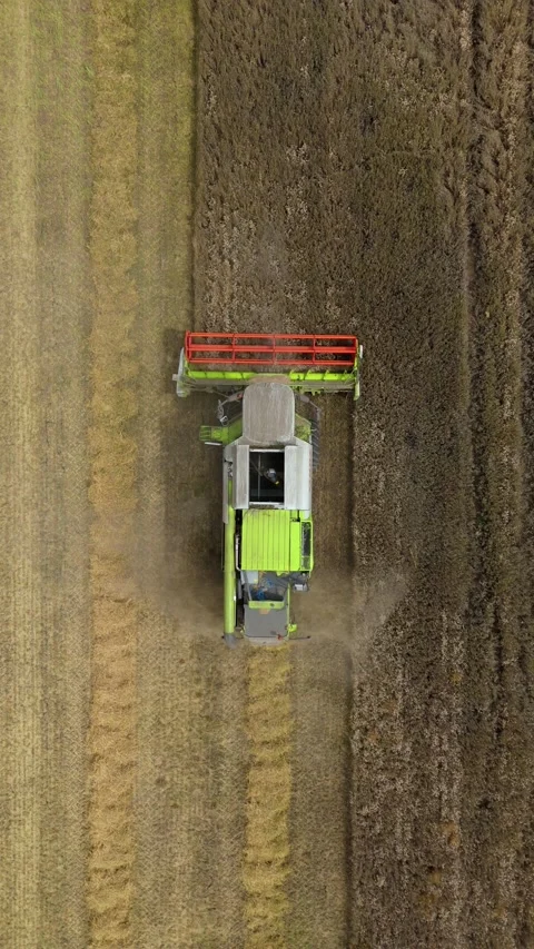Vertical format aerial view of combine harvester harvesting golden wheat crops Stock Footage 316756788