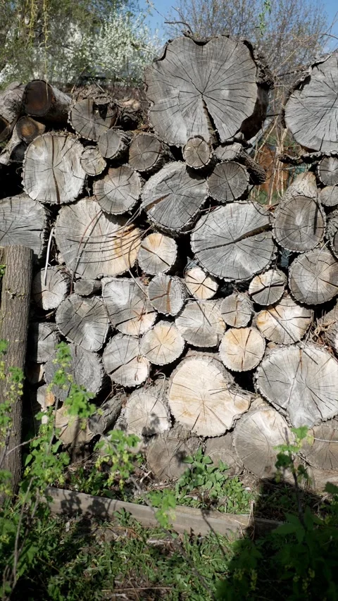 Vertical format. Dry firewood in the backyard Stock Footage 275234004