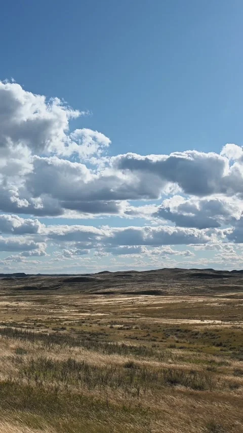 Vertical format of dry grass blowing in a strong wind with hills and sky in the  Stock Footage 286903426