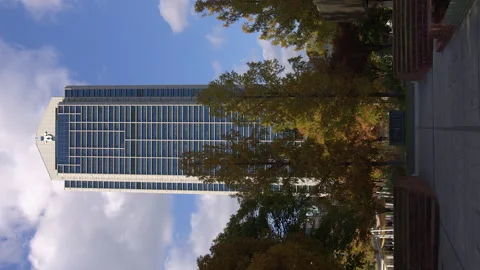 Vertical format: Kobe Japan city hall building thru autumn park foliage Stock Footage 327629530