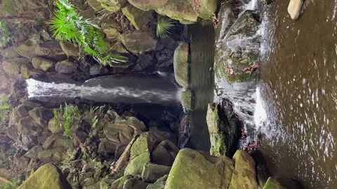 Vertical format: Landscaped waterfall in rock grotto of nature park Stock Footage 328527139