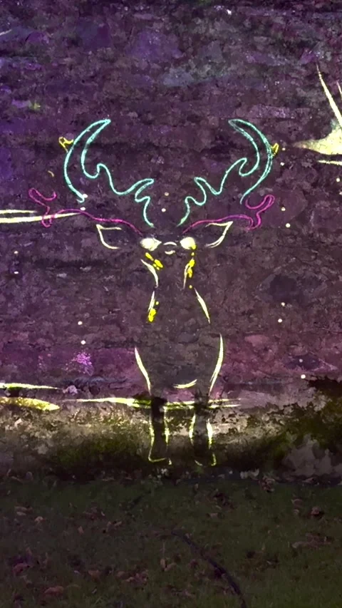 Vertical format line-drawn deer projected onto stone wall in stunning light Stock Footage 324835934