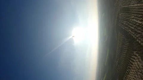 Vertical format: Paraglider soars through the sun above olive grove Video stock 262303480