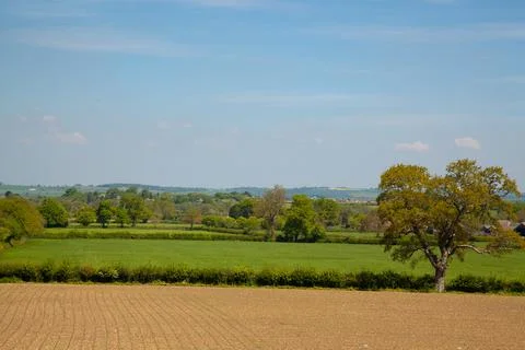 Vertical format picture of idyllic flat countryside with a large ploughed field Stock Photos