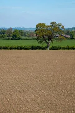 Vertical format picture of idyllic flat countryside with a large ploughed field Stock Photos