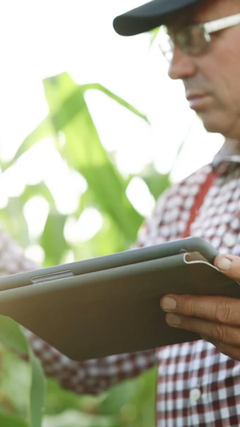 Vertical Format Video of Agribusiness technology in the field ipad agricultural Stock Footage 304036726