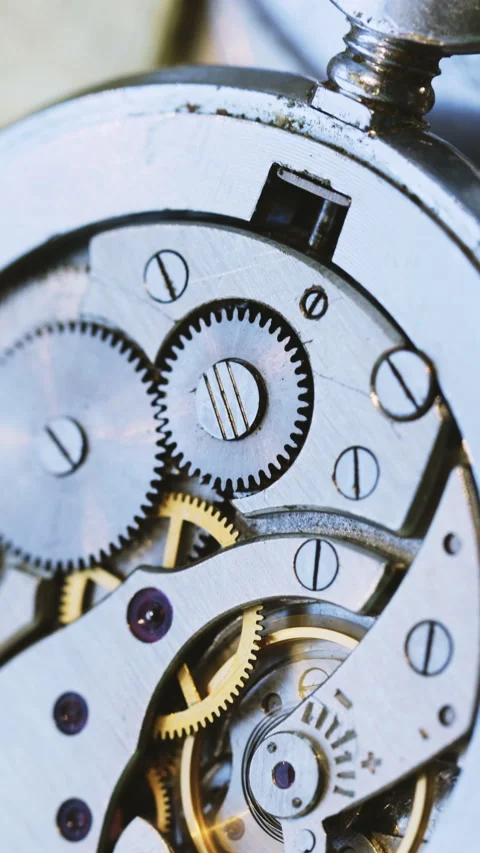 Vertical Format Video of close-up shot reveals the delicate mechanism of an Stock Footage 309666431