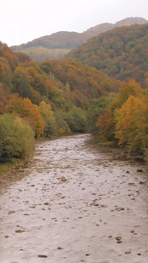 Vertical Format Video of Flying Over the River in The Carpathian Mountains Stock Footage 309235392