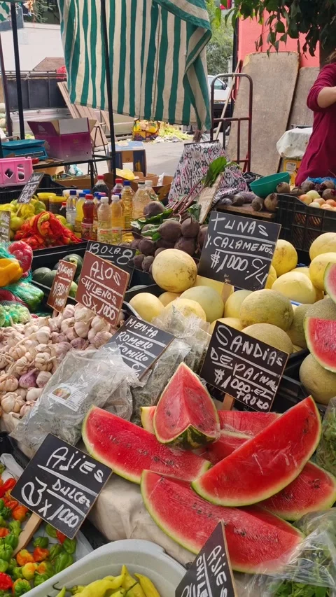 Vertical forward-moving shot through an outdoor morning market in Santiago Vidéo 336043185