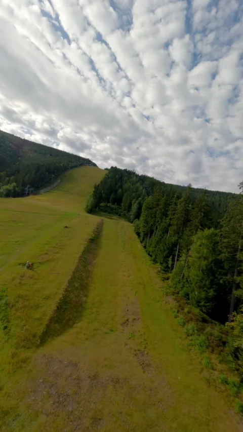 Vertical FPV Drone Flight Over Green Pine Forest And Mountain Meadows Stock Footage 345276353