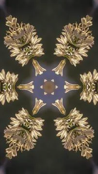 Vertical frame Abstract angular star shape like a snowflake made from photo of Stock Photos