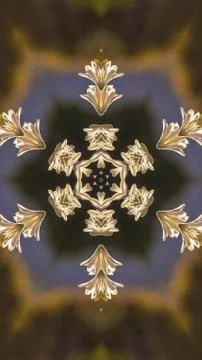 Vertical frame Abstract design star shape made from reflecting white flowers in Stock Photos