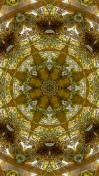 Vertical frame Angular view of leaves of a flower arrangemnet no petals Foto stock