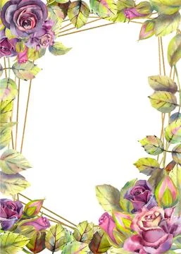 Vertical frame with flowers of roses of the dark . Compositions for greeting  Stock Illustration