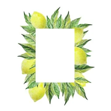 Vertical frame with lemon leaves and fruits. Watercolor design for invitations Stock Illustration