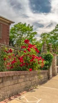 Vertical frame Pathway along stone and wire fence of ressidential building with Stock Photos