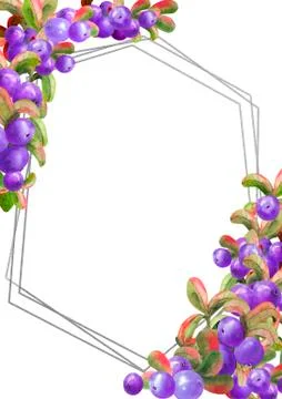 Vertical frame with ripe irgi berries on a white background. Graphic element. Stock Illustration