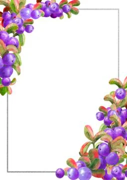 Vertical frame with ripe irgi berries on a white background. Graphic element. Stock Illustration