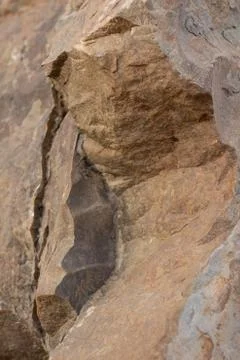 Vertical frame, stone brown close-up, natural background Stock Photos