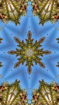 Vertical frame Vivid shapes with angular displays of flowers in circular Stock Photos