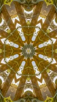 Vertical frame Wild angular shapes of a flower arrangement showing only leaves Stockfoto's