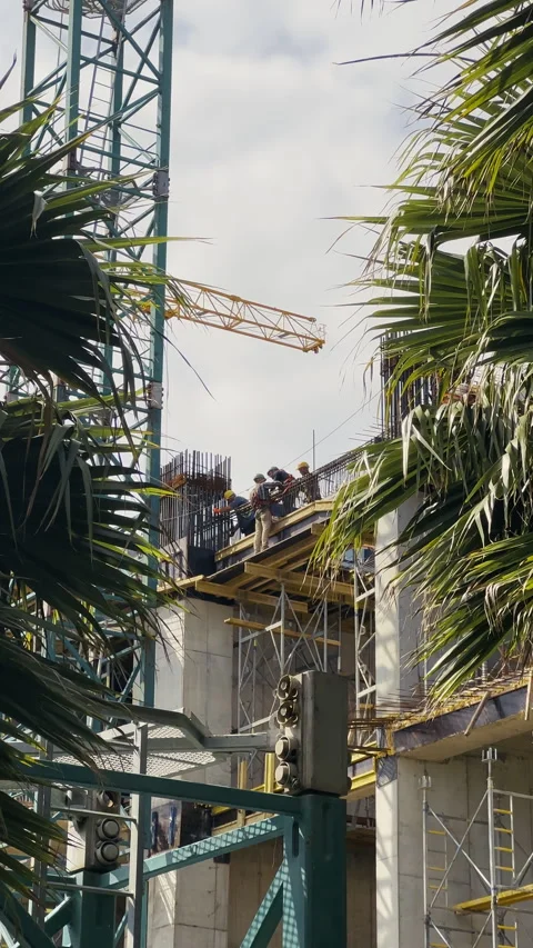VERTICAL. Framed with palms scene of busy construction site. Workers doing job Video stock 284029638