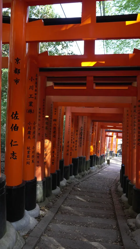 Vertical framing, walking down Fushimi Inari Shrines - Torii Gate Kyoto Vídeo Stock 242599012